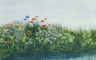 Mohnblumen an einem Bach